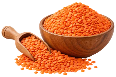 Masoor dal