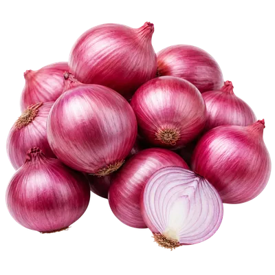 Fresh Onions