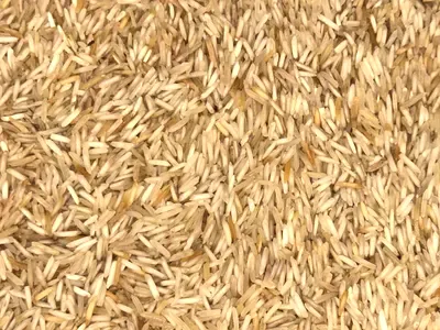 Basmati Rice Lajwaab
