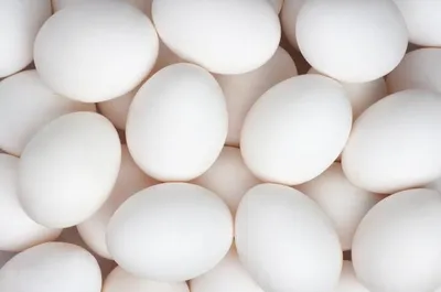 Egg